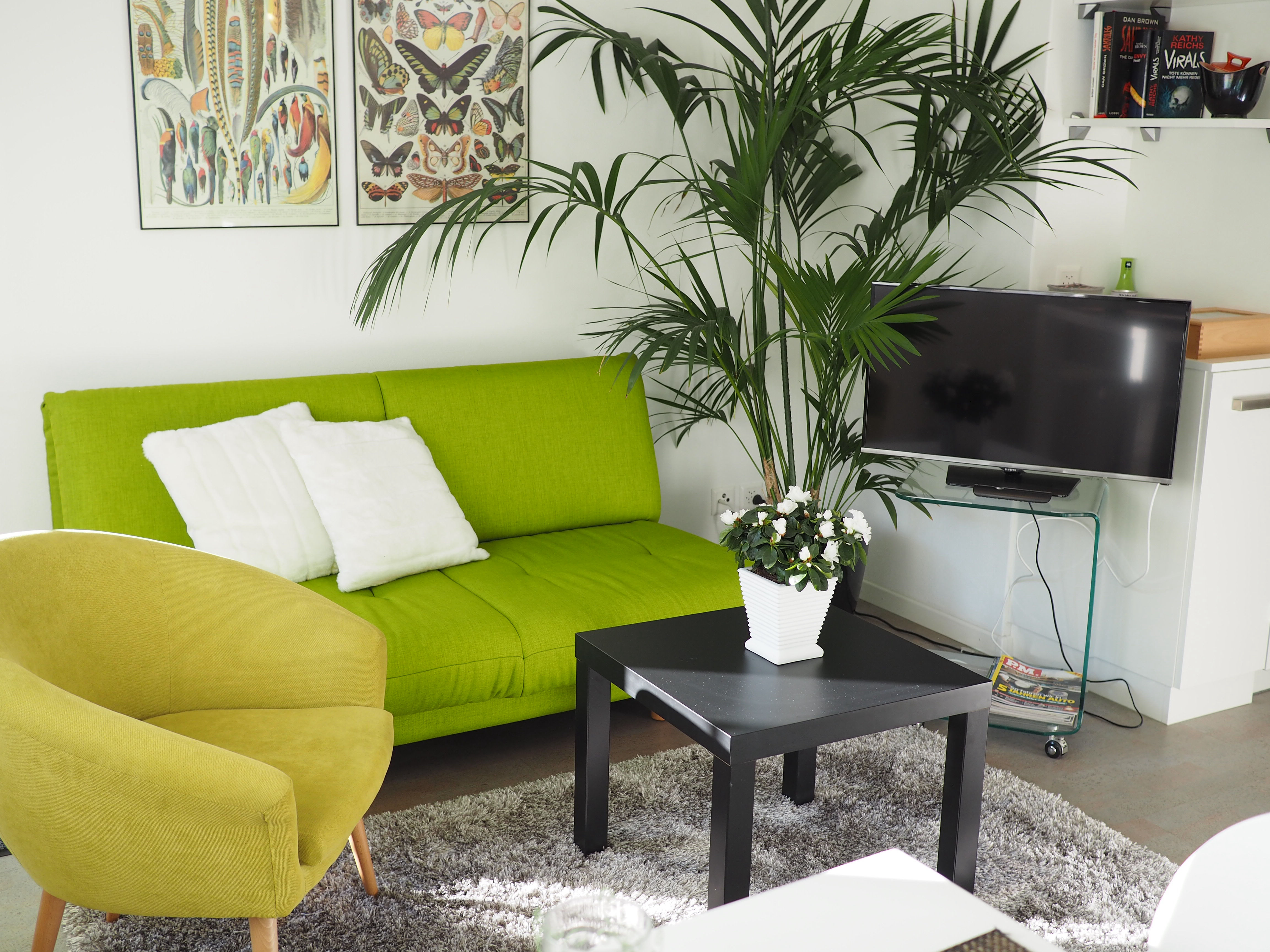 Wohnbereich mit Fernseher