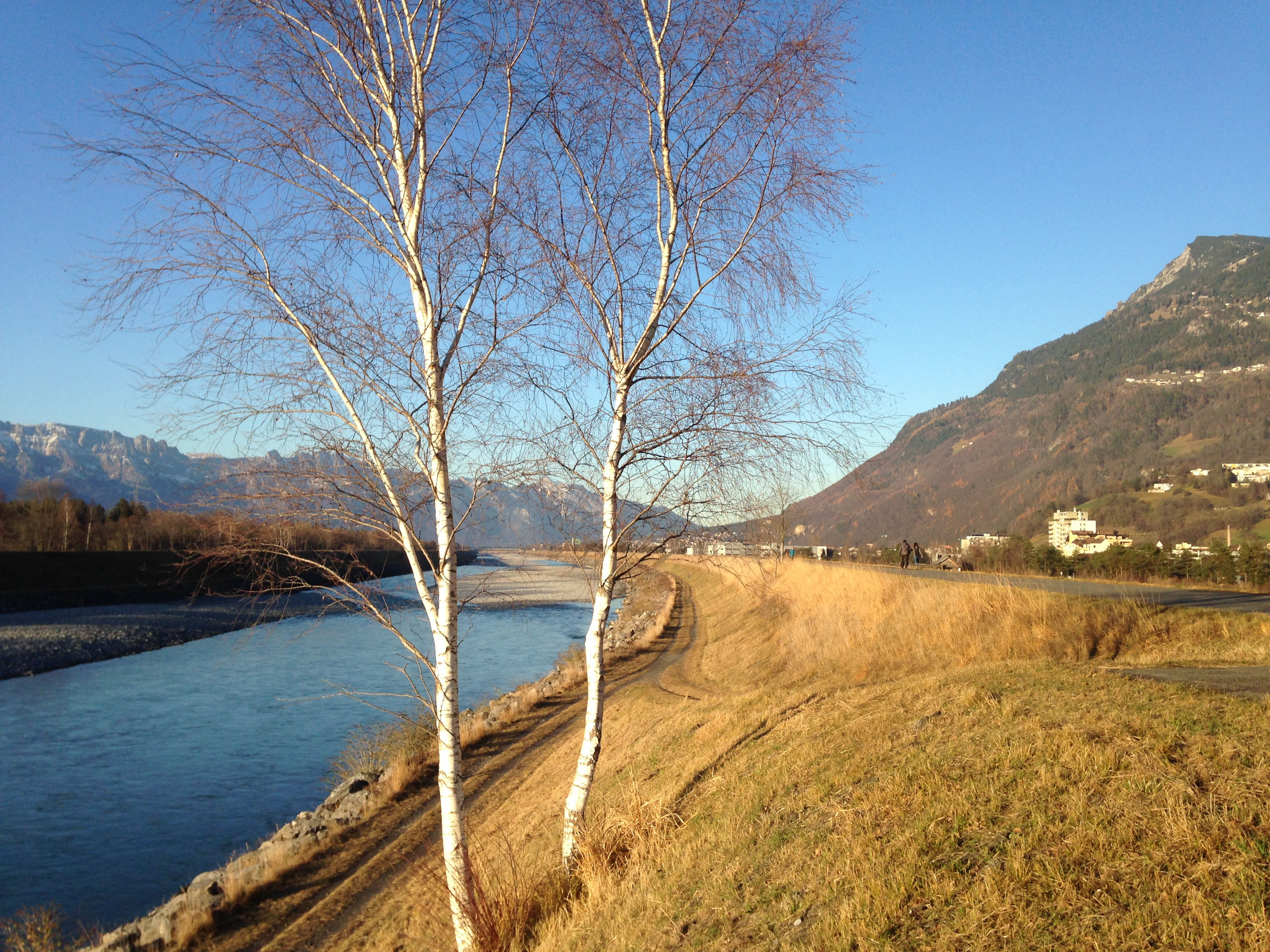 Umgebung, Rheindamm mit Blick nach Vaduz